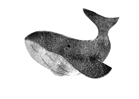 Ballena (2018)