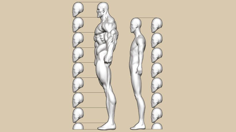 Aprende a dibujar superhéroes con este gráfico de proporciones anatómicas 3