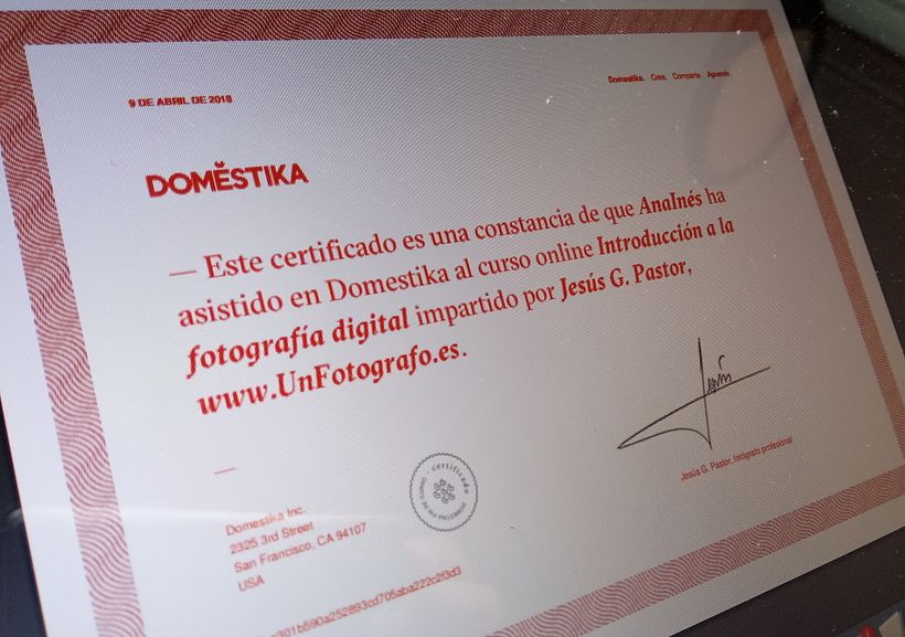 ¿Como son los titulos de Domestika? 1