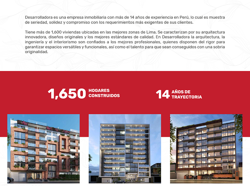 Desarrolladora | Campaña 1