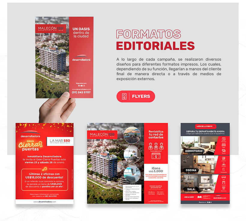 Desarrolladora | Campaña 3