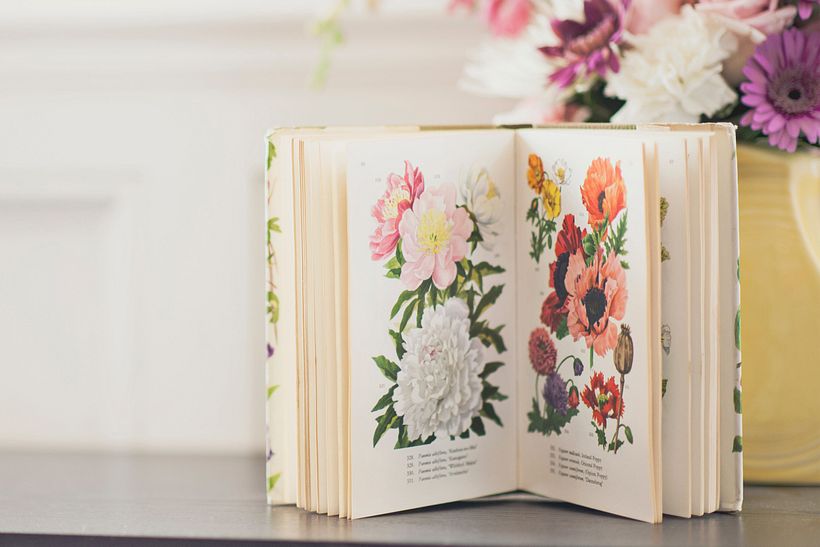 Libro ilustrado
