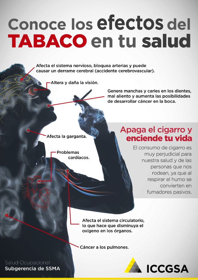 Comunicación Interna - ICCGSA 4