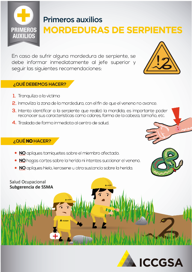 Comunicación Interna - ICCGSA 14