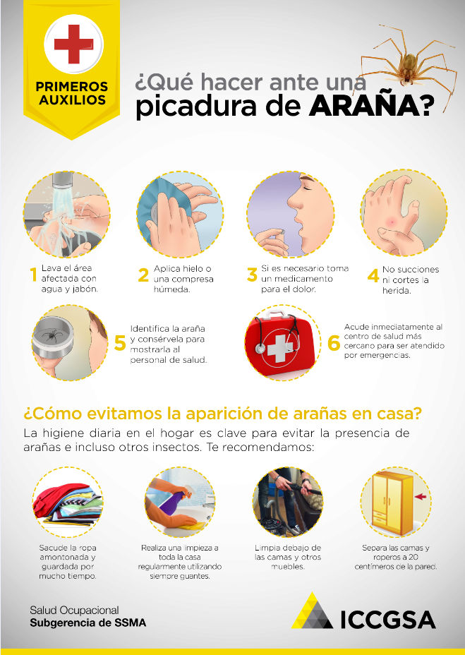 Comunicación Interna - ICCGSA 16