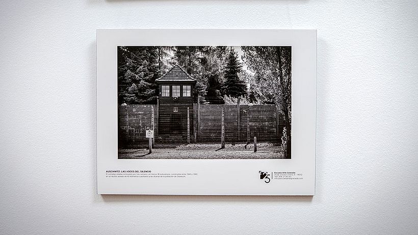 Auschwitz, Las voces del silencio 3