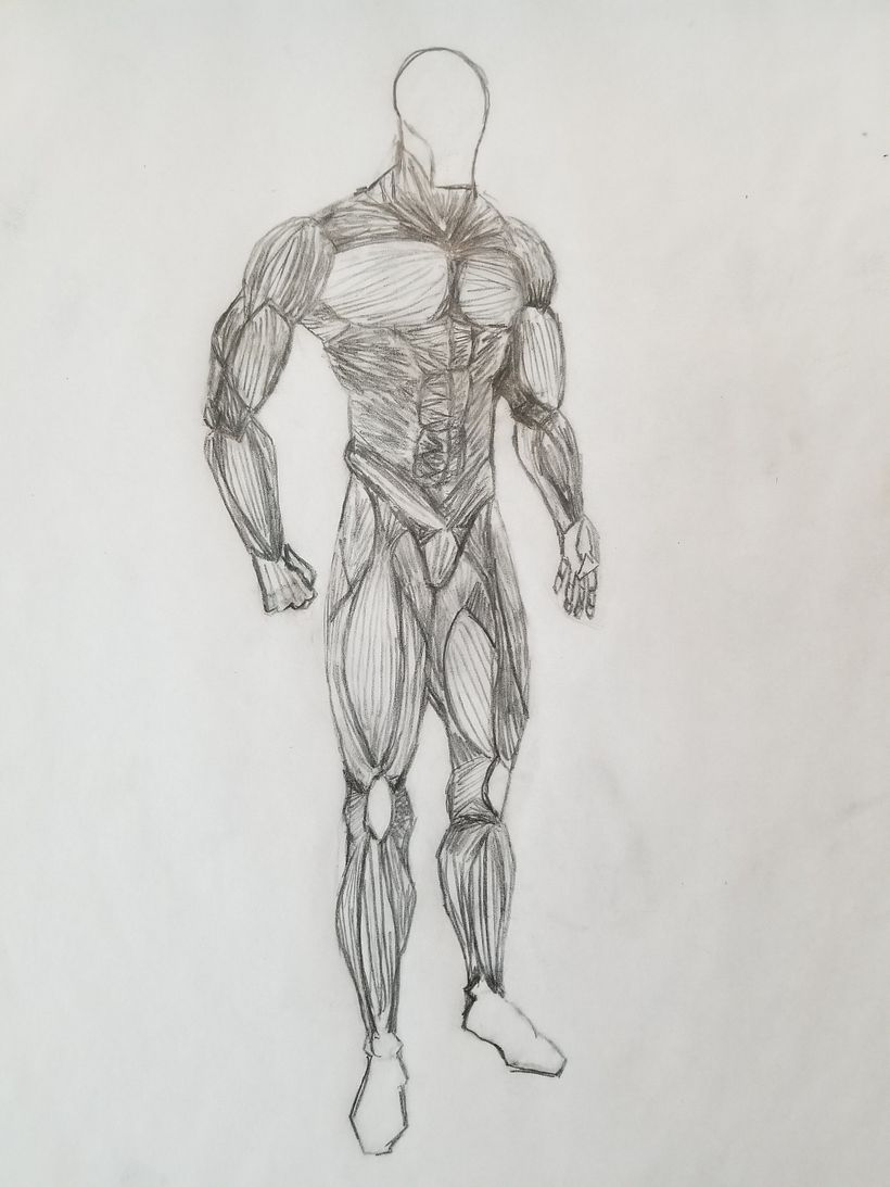 Muscular