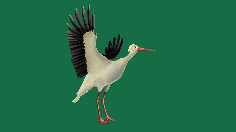 the_stork 0
