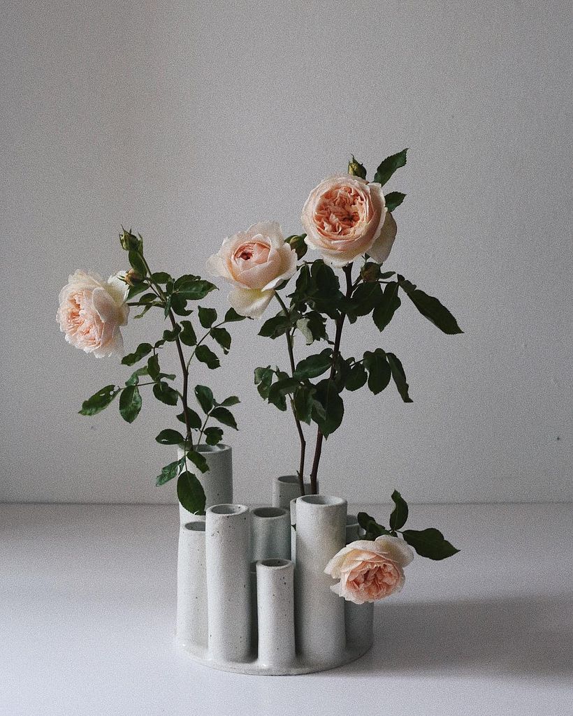 Piezas de Tara Burke