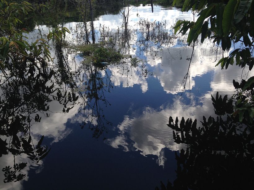 Amazonas 0