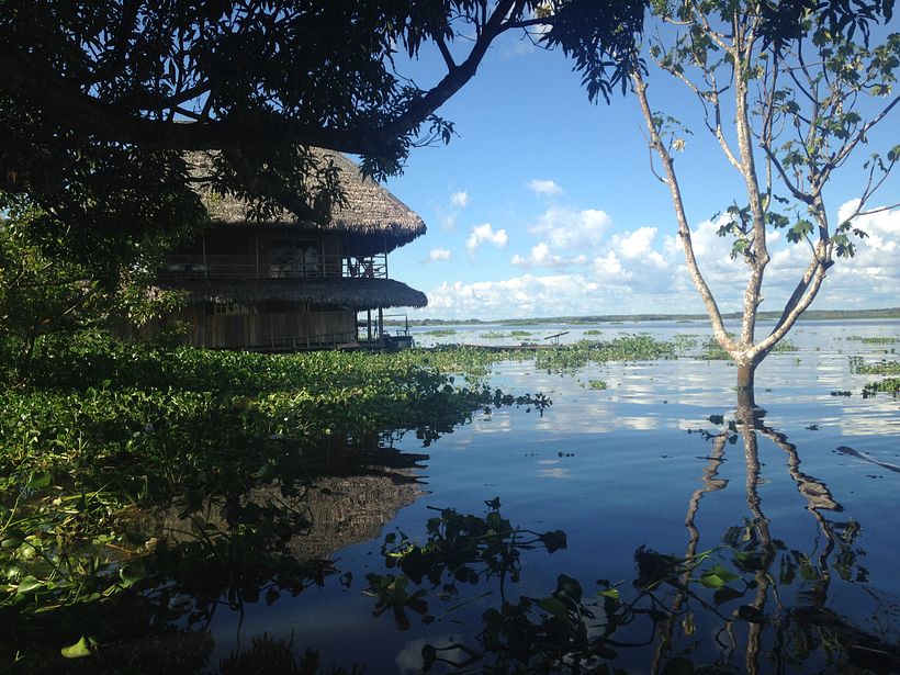 Amazonas 3