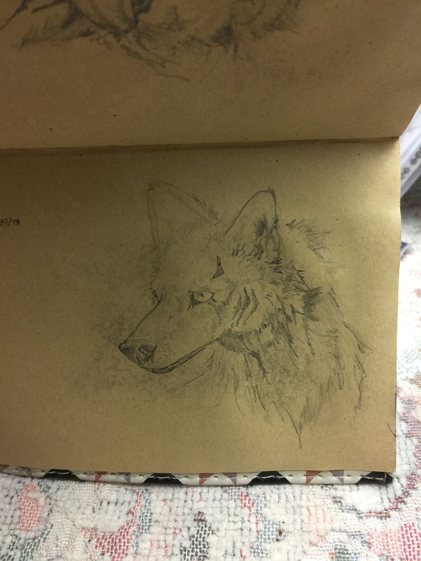 Dibujos a Lápiz. Animales  1