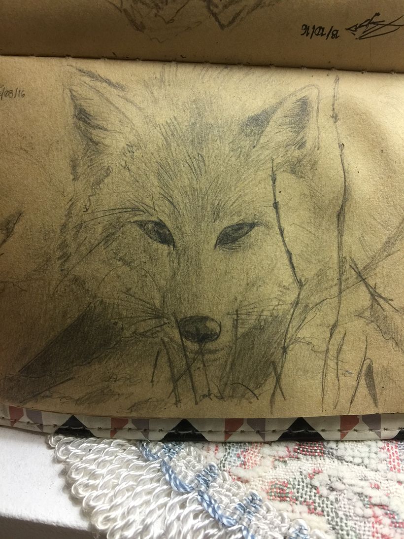 Dibujos a Lápiz. Animales  2
