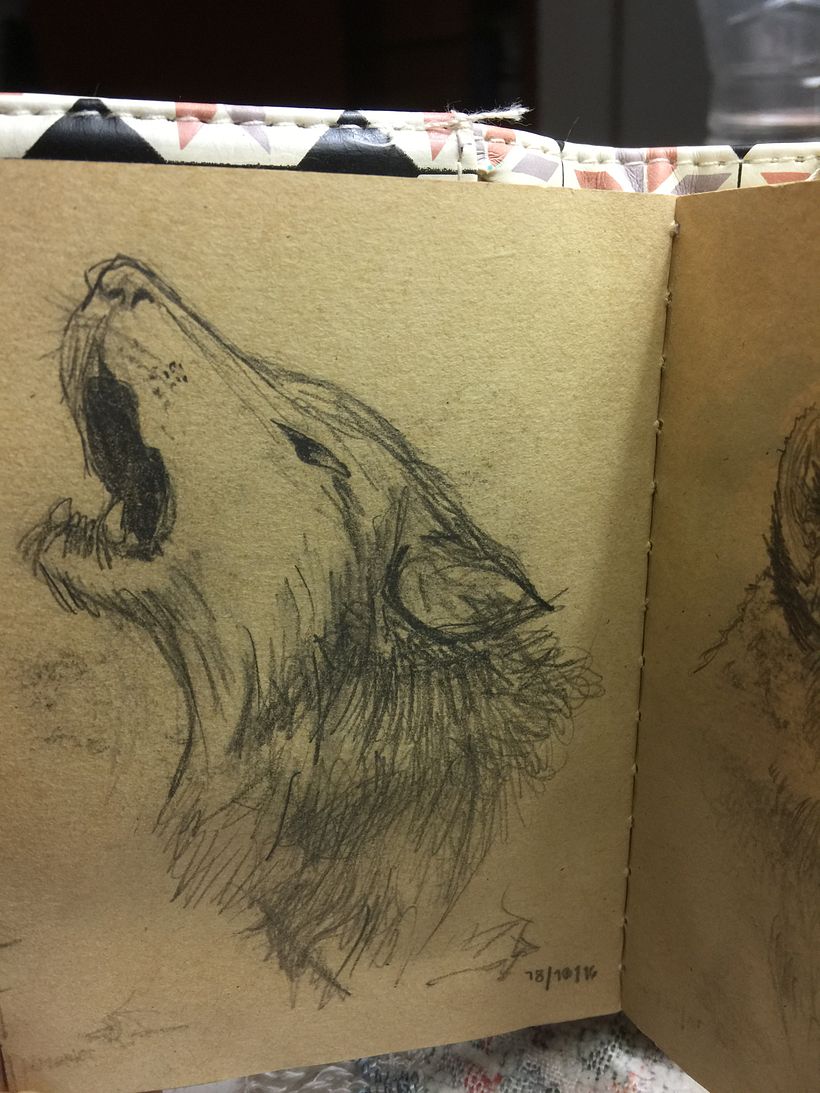 Dibujos a Lápiz. Animales  4