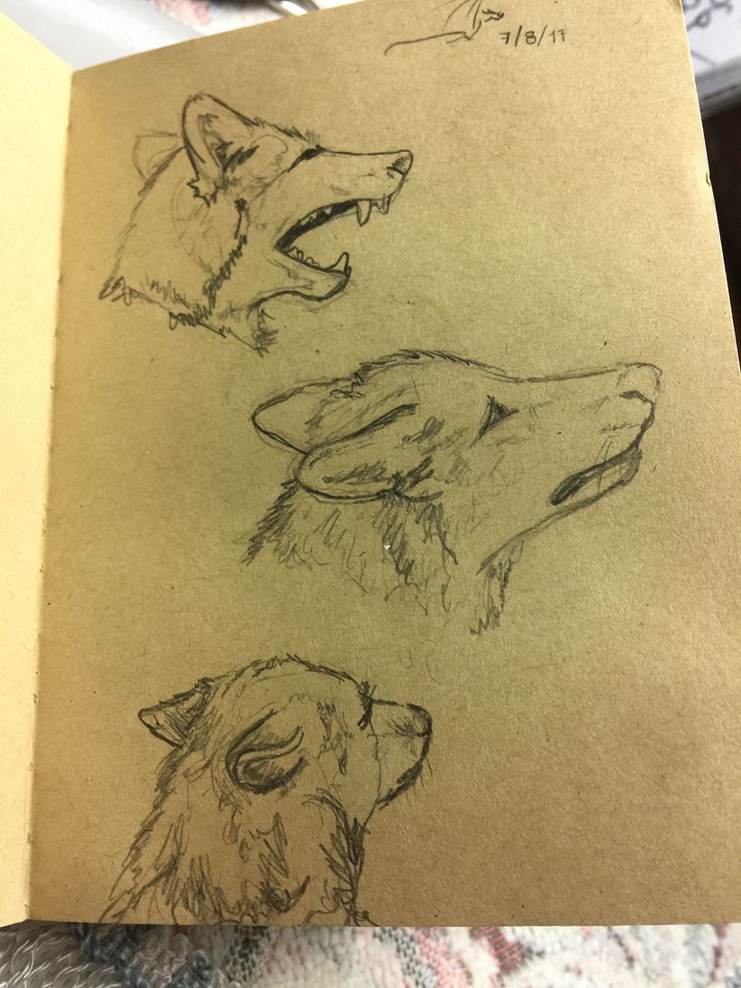 Dibujos a Lápiz. Animales  7
