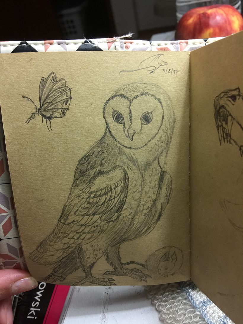 Dibujos a Lápiz. Animales  8