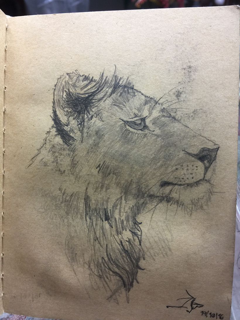 Dibujos a Lápiz. Animales  9