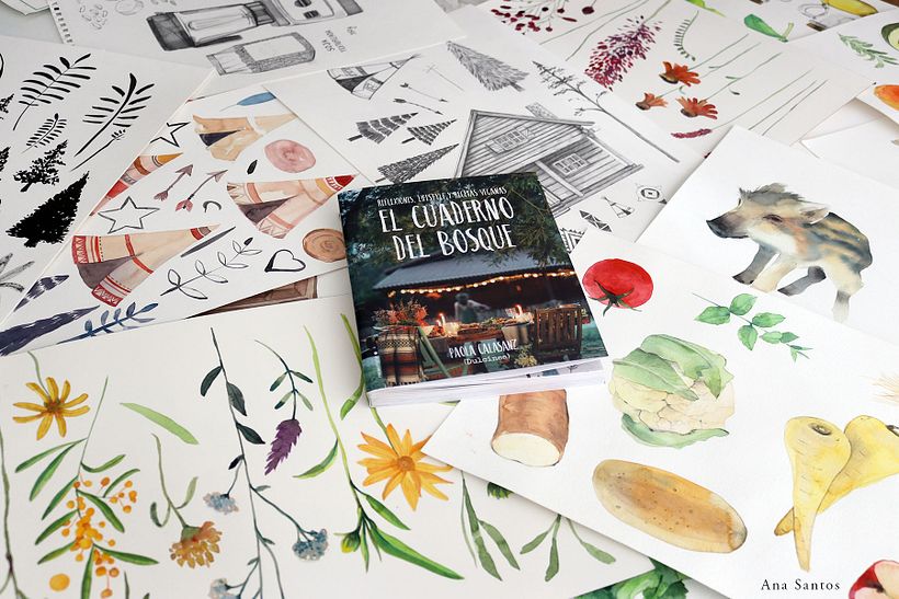 Ilustraciones realizadas para: El cuaderno del Bosque. Roca editorial. Escrito por Paola Calasanz