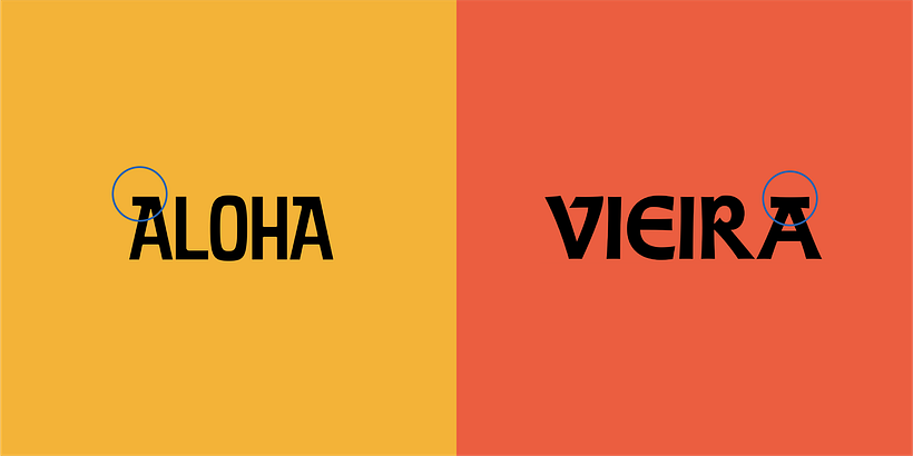 Compañía de surf Waipia 2