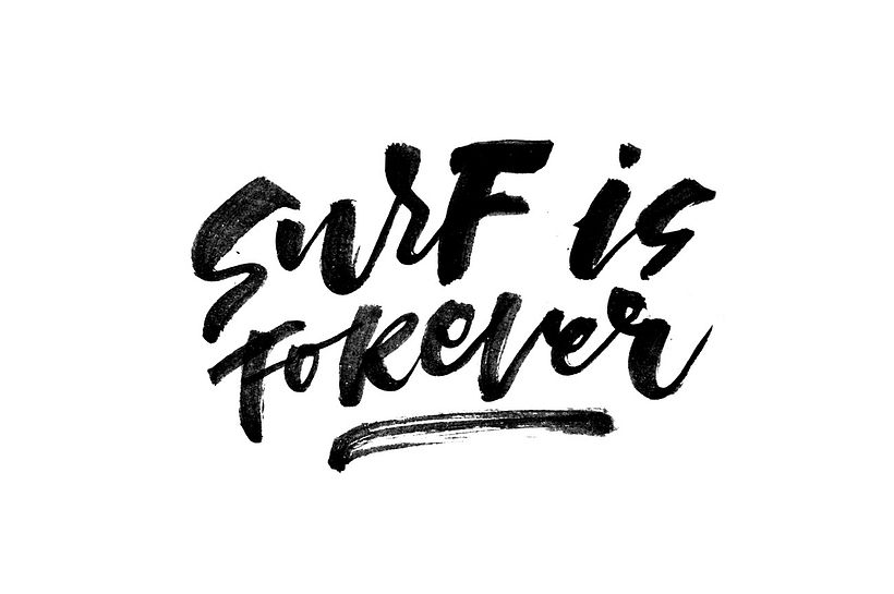 Compañía de surf Waipia 14