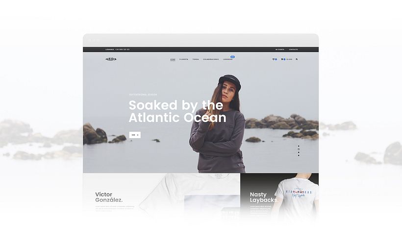 Compañía de surf Waipia 21