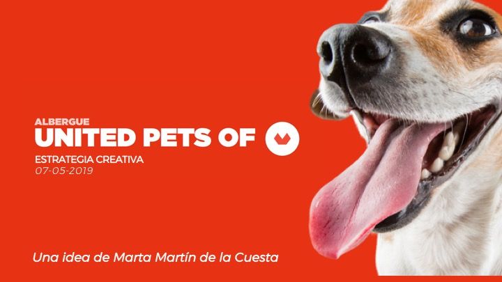DOGGITAS  -1