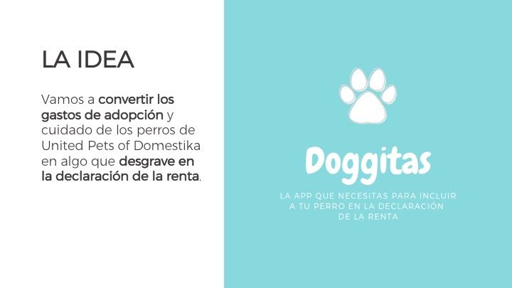 DOGGITAS  6