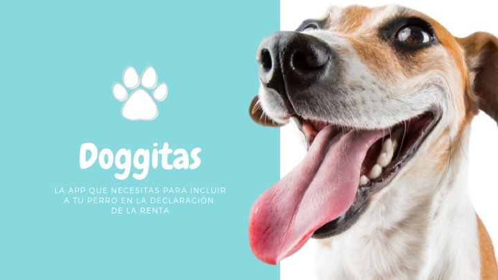 DOGGITAS  12