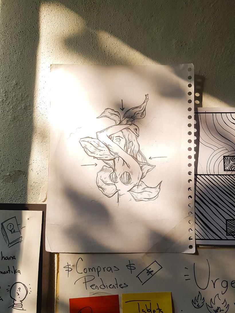 Mi Proyecto del curso: Instagram de un diseñador gráfico  7