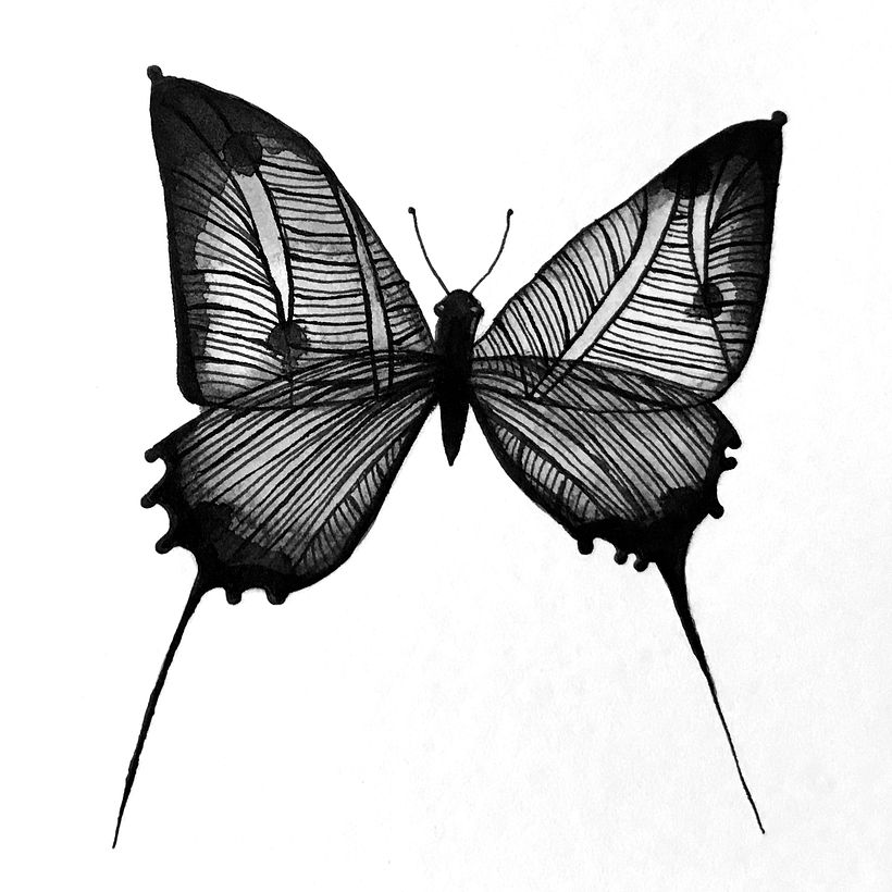 Black Mariposa • Proyecto personal • Ilustraciones con tinta china y rotulador 3
