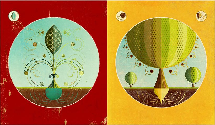 The Creation 1