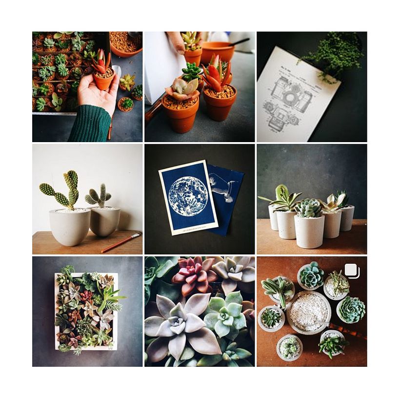 Fotografía para instagram