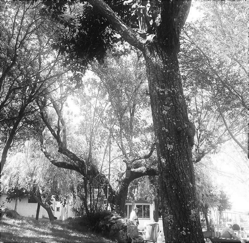 los días siempre vuelven y todo se olvida 1