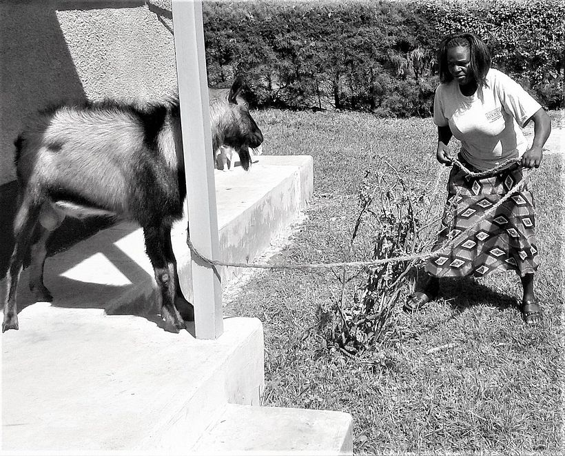 los días siempre vuelven y todo se olvida 2