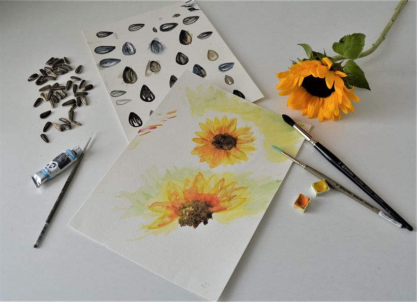 Me decidí por las acuarelas y empecé a pintar girasoles y pipas... muchas pipas!