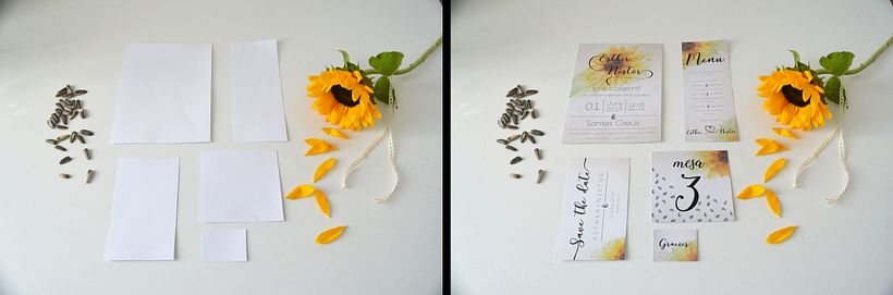 Mi Proyecto del curso: Motivos para repetir  6