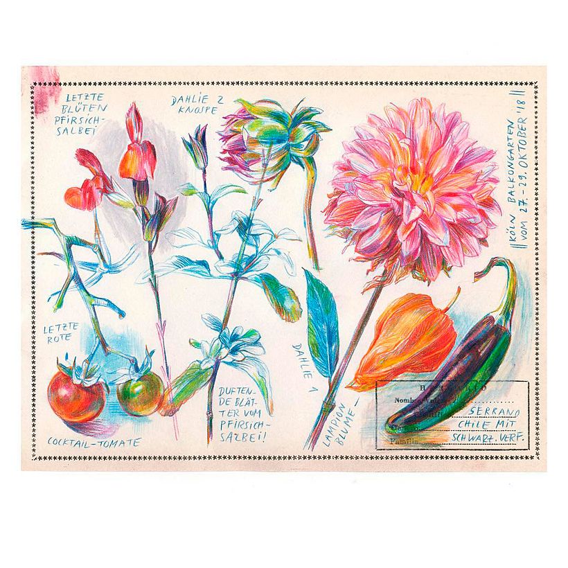 Ilustración de Elke Hanisch
