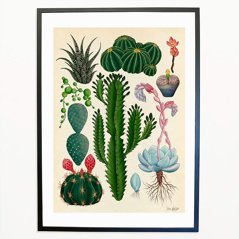 Ilustración de Kattie Scott