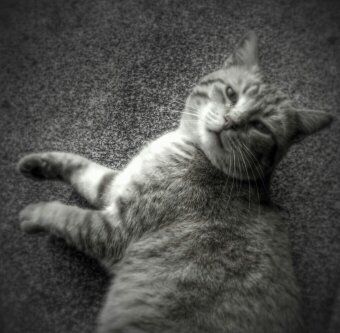 los días siempre vuelven y todo se olvida 8