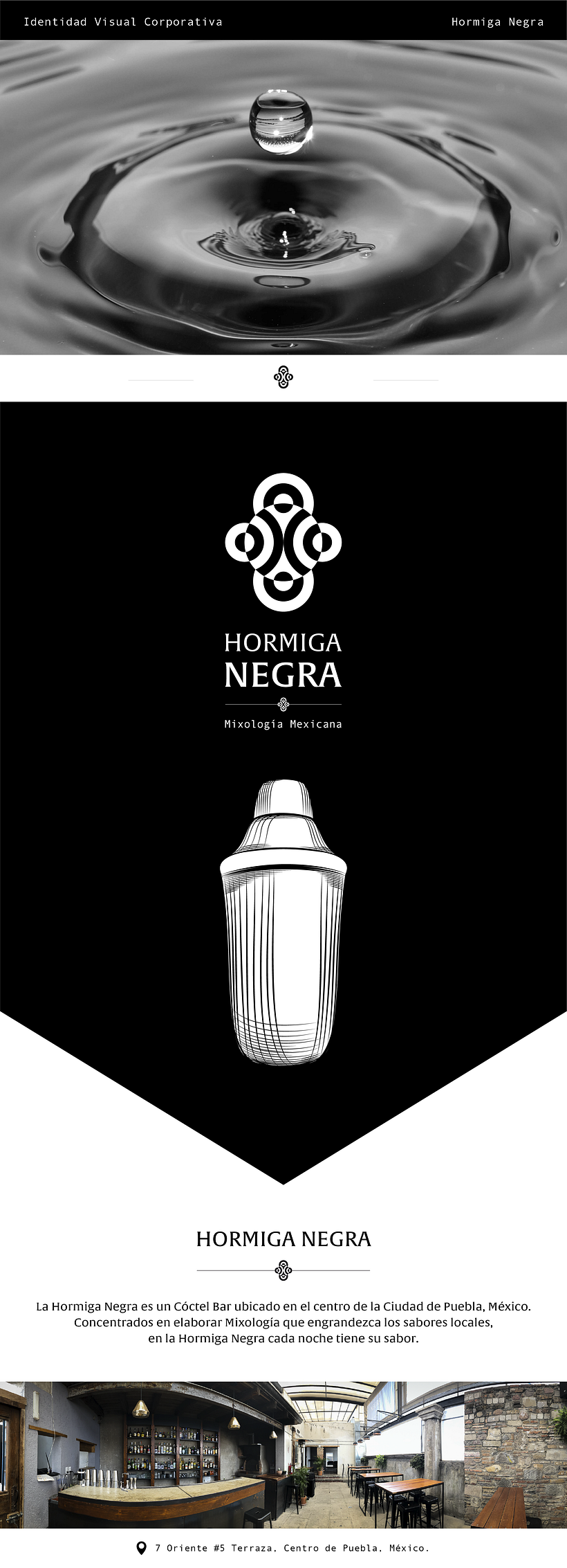 Hormiga Negra 2