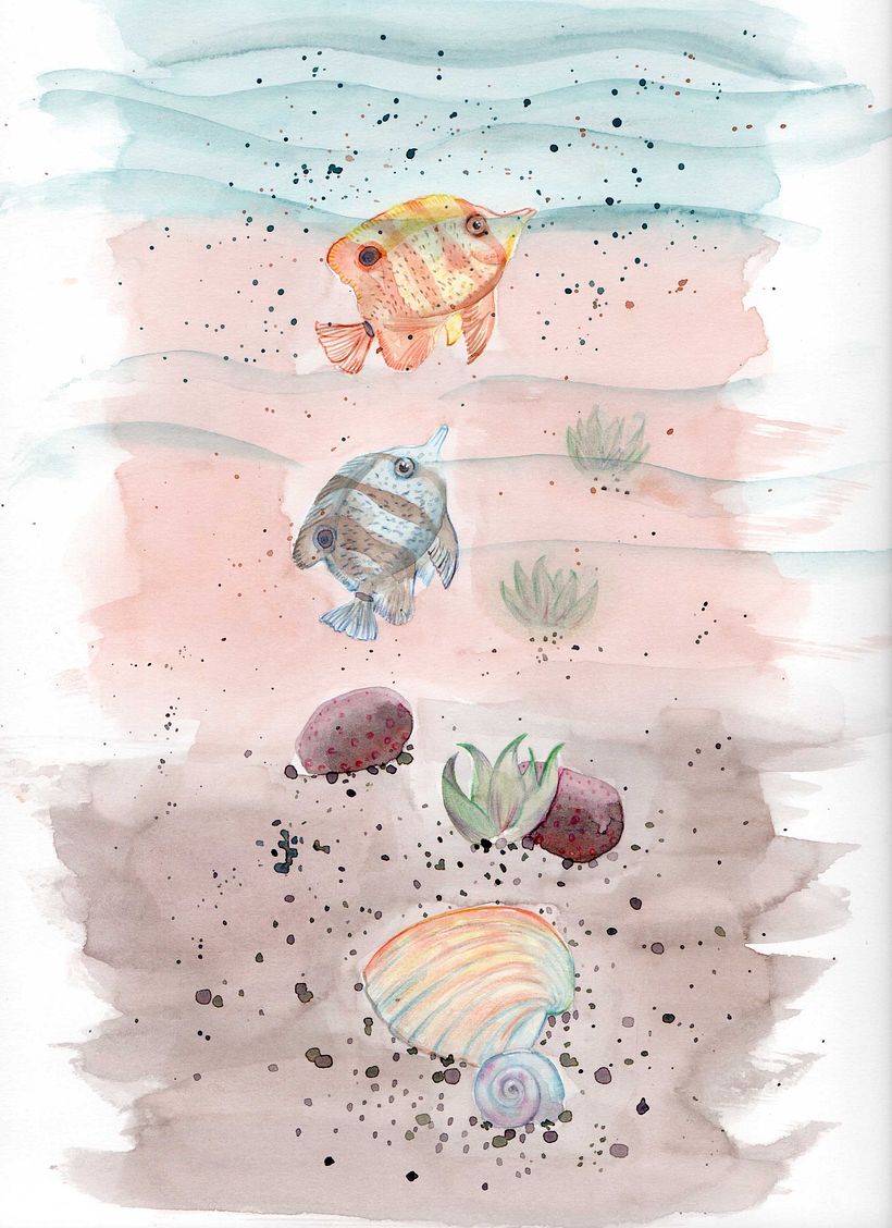 Ilustraciones 0