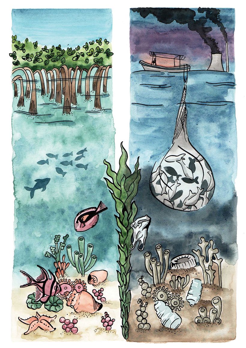Ilustraciones 1