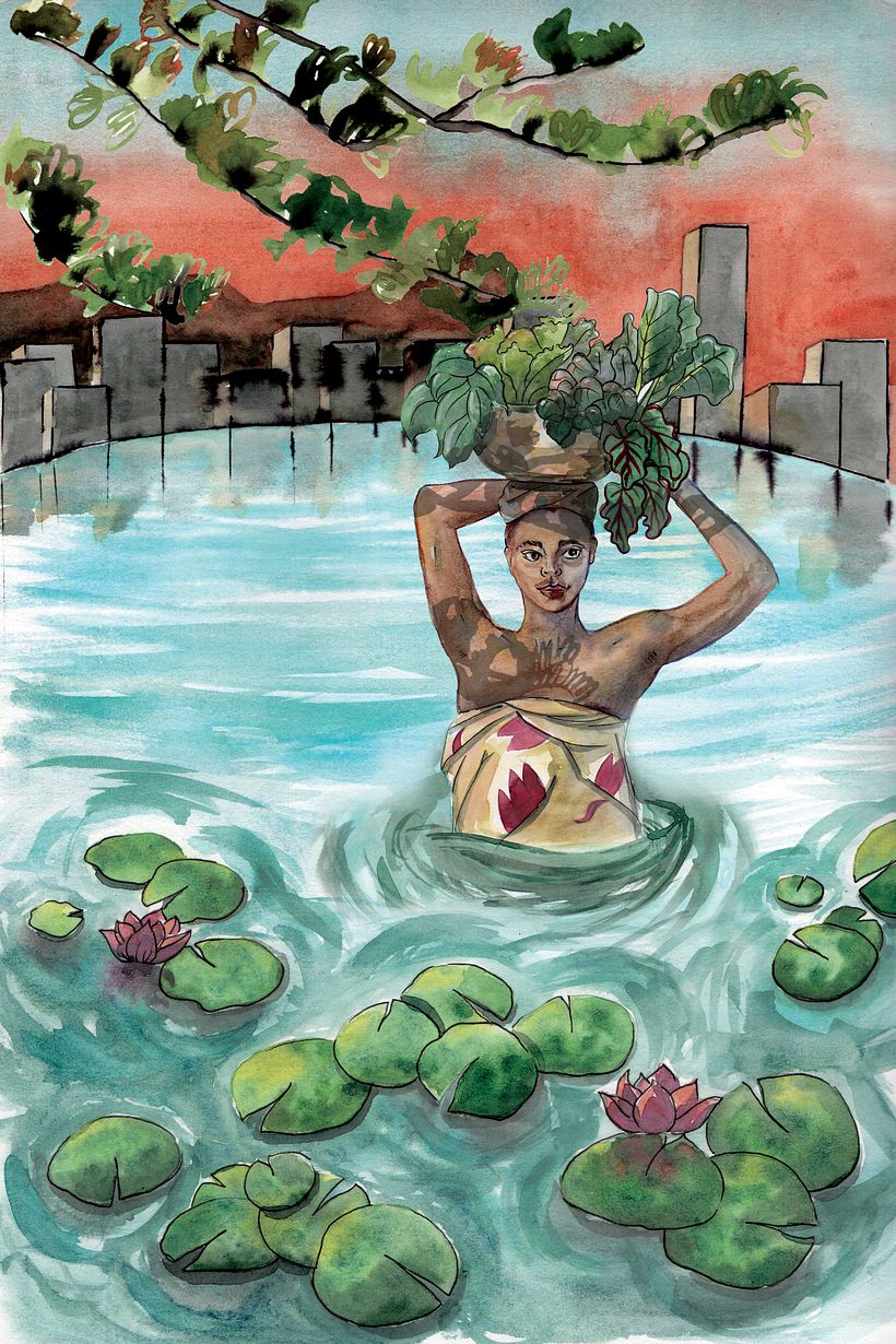 Ilustraciones 3