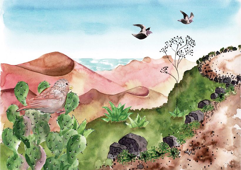 Lava landscapes 1