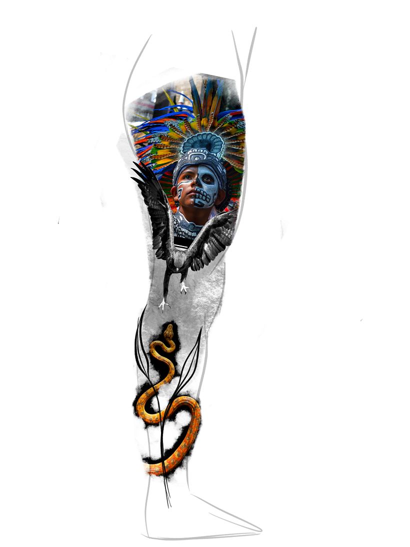 Procreate 3