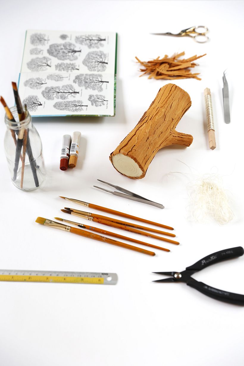 Tronco de árvore  -1