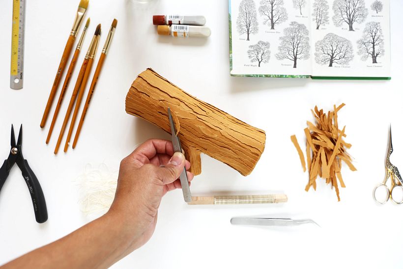 Tronco de árvore  1