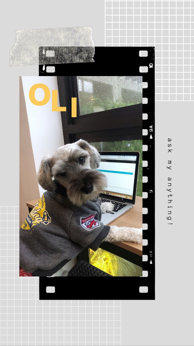 Mi Proyecto del curso: Creación y edición de contenido para Instagram Stories 0