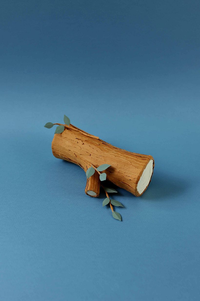 Tronco de árvore  3