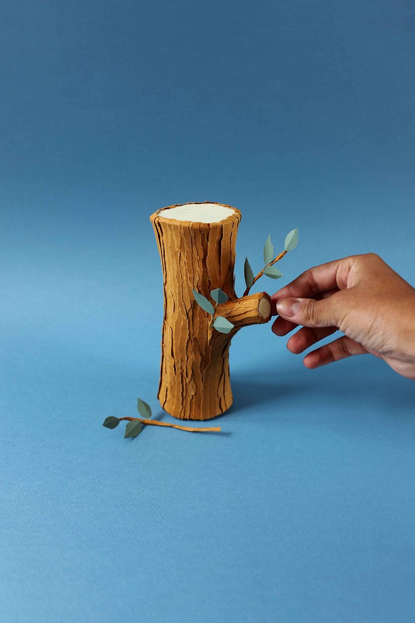 Tronco de árvore  4